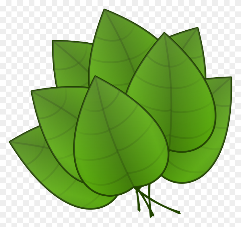 800x752 Free Clipart - Holly Leaves Clipart