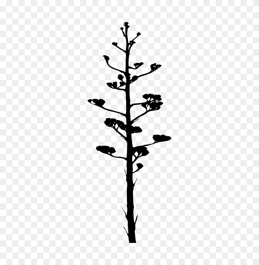 349x800 Free Clipart Agave Bloom Enlivendesigns - Agave Clipart