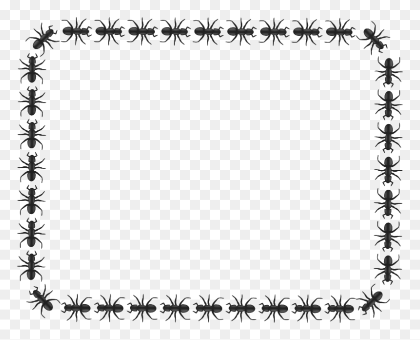 800x637 Free Clipart Ant Border Rectangle Pitr - Rectangle Border Clipart