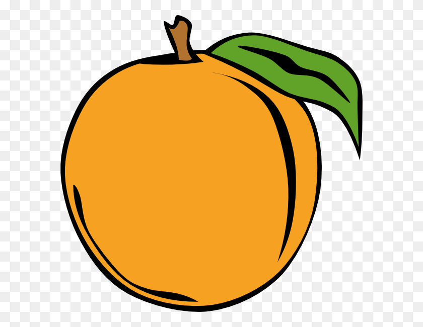 600x590 Free Clipart Apricot Fruit Image Information - Ocotillo Clipart