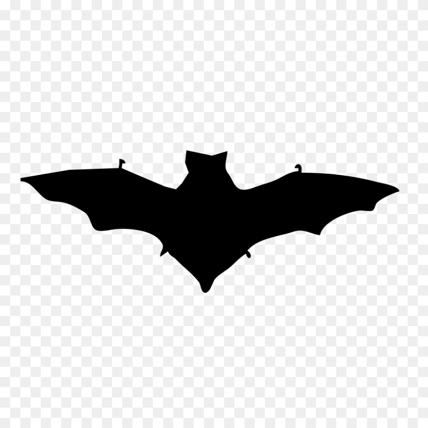 800x800 Бесплатный Клипарт Bat Contour Nicubunu - Bat Silhouette Clip Art