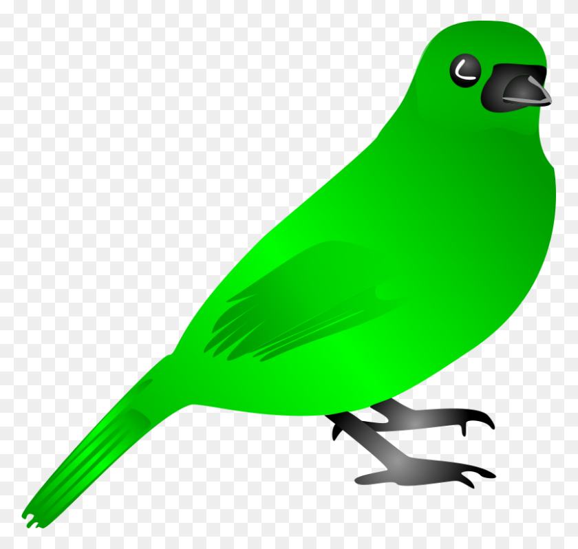 800x757 Free Clipart Bird Liquidsnake - Green Bird Clipart