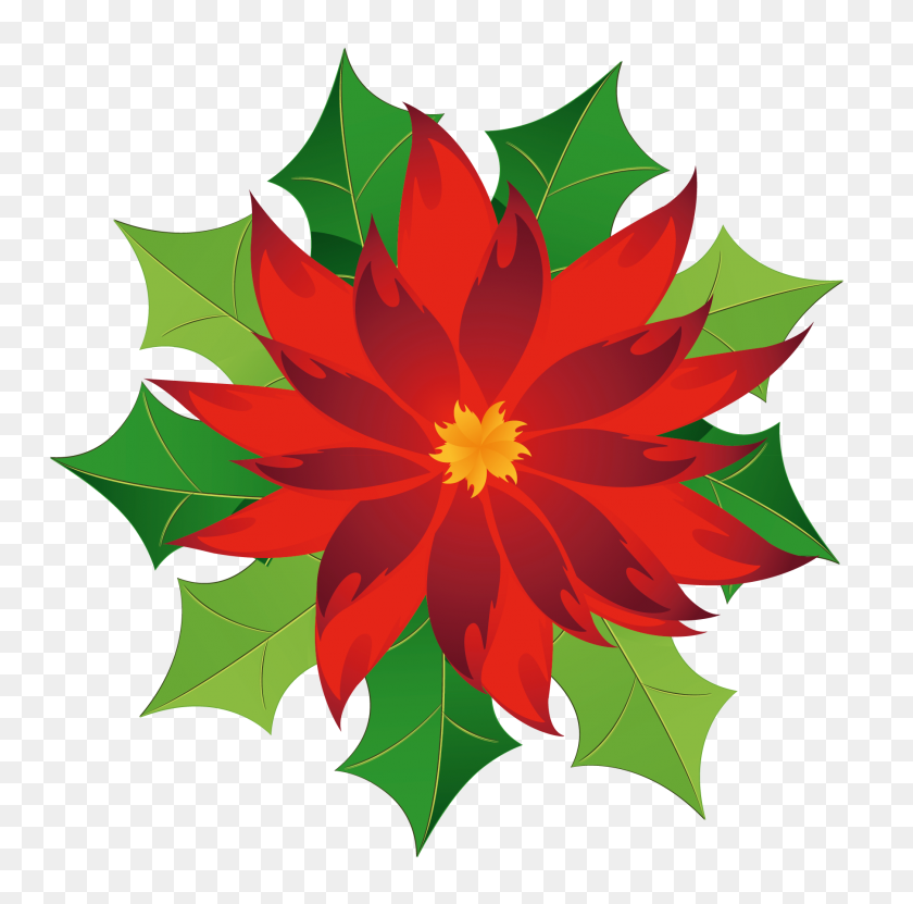 1807x1788 Free Clipart Christmas Poinsettia Collection - Holly Clipart Png