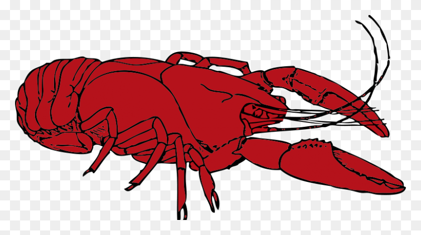 800x420 Free Clipart Crayfish Johnny Automatic - Crawfish Clip Art