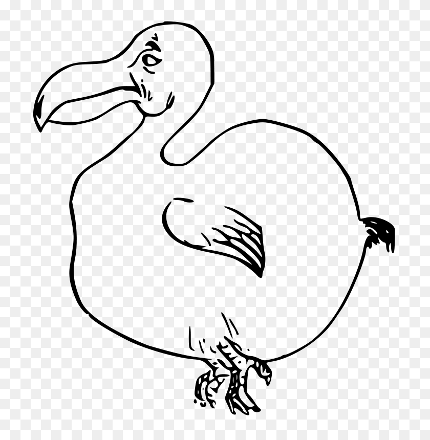 732x800 Free Clipart Dodo Bird Ossidiana - Dodo Bird Clipart