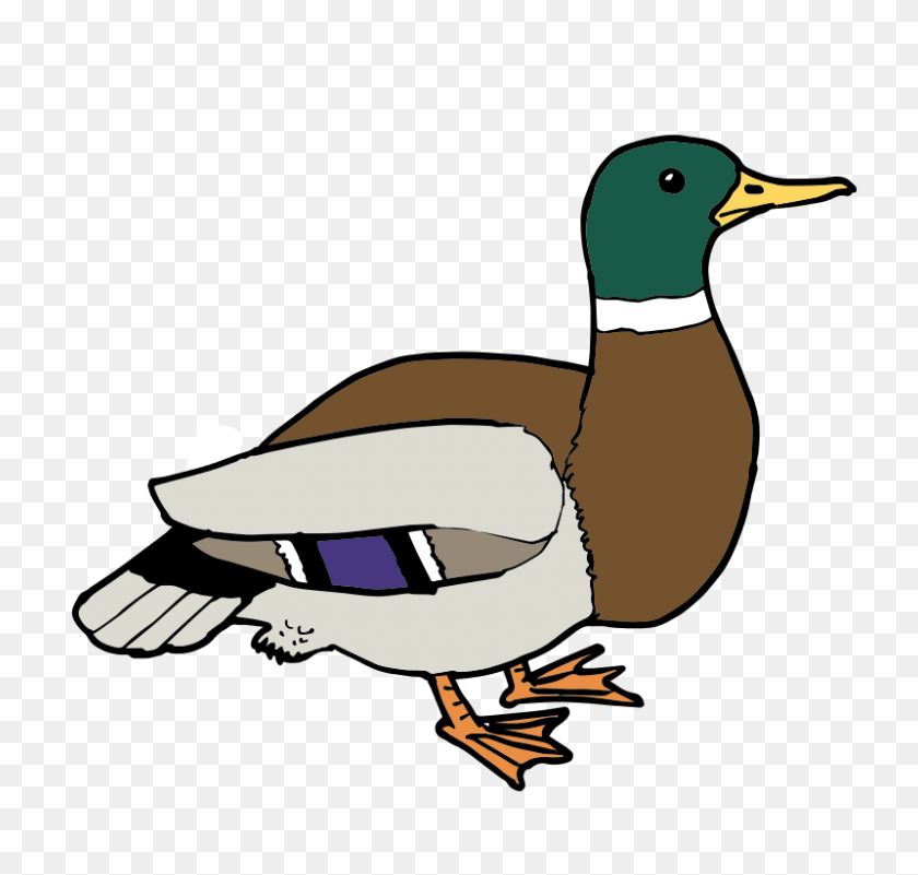 800x760 Free Clipart Duck - Free Duck Clip Art