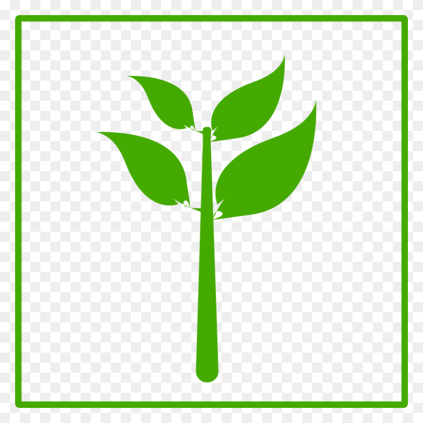 800x800 Бесплатный Клипарт Значок Эко Зеленое Растение Dominiquechappard - Клип Зеленое Растение