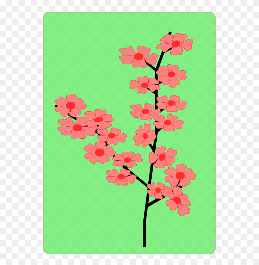 566x800 Бесплатный Клипарт Цветок, Цветы, Сакура Аунгкарнс - Кизил Клипарт