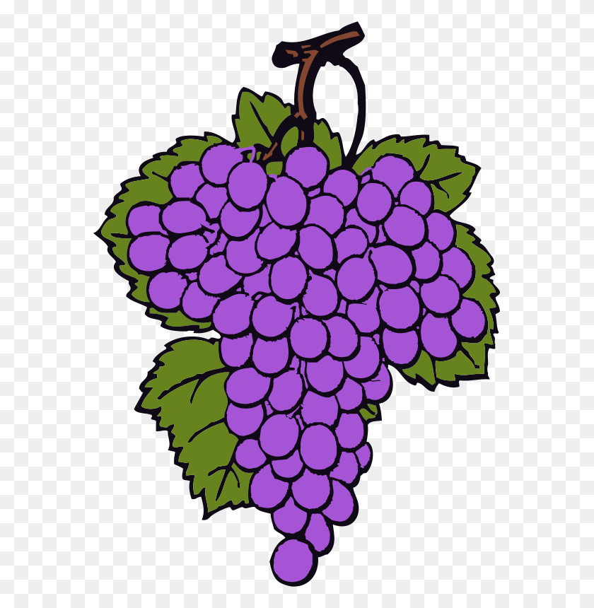 575x800 Free Clipart Grape Cluster Johnny Automatic - Grape Cluster Clipart