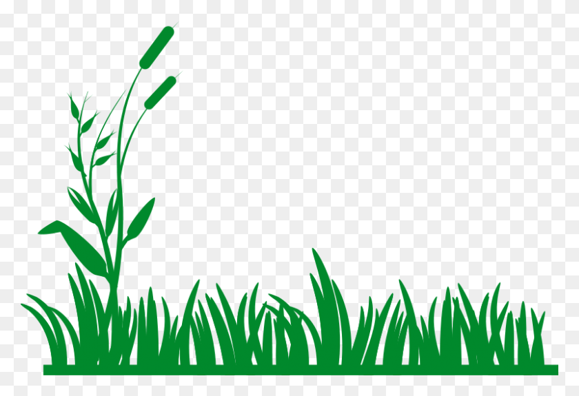 800x529 Free Clipart Grass Background - Grass Background Clipart