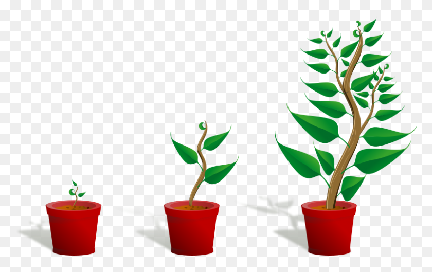 800x482 Free Clipart Planta Verde En Su Maceta En Tres Fases Diferentes - Planta Verde Clipart