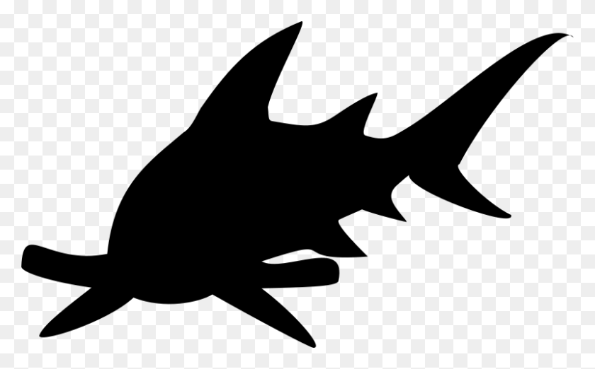 800x474 Бесплатный Клипарт Hammerhead Shark Wsnaccad - Free Shark Clipart