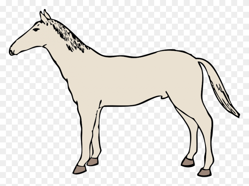 800x582 Free Clipart Horse Johnny Automatic - Ride A Horse Clipart