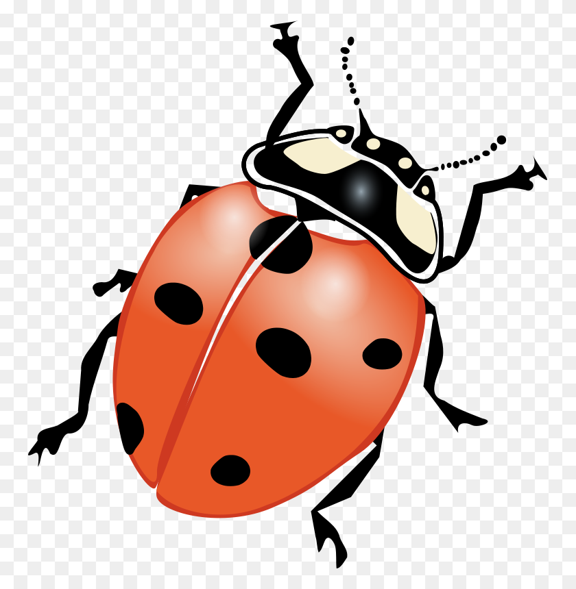 757x800 Free Clipart Ladybug Mekonee - Free Bug Clipart