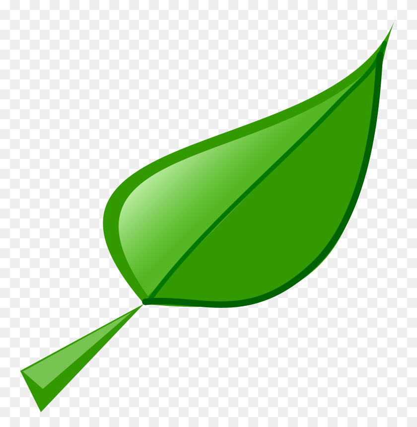 760x800 Free Clipart Leaf Fredoguy - Sign Up Sheet Clip Art