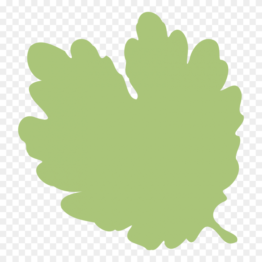 800x800 Free Clipart Leaf Silvyn - Greenery Clipart
