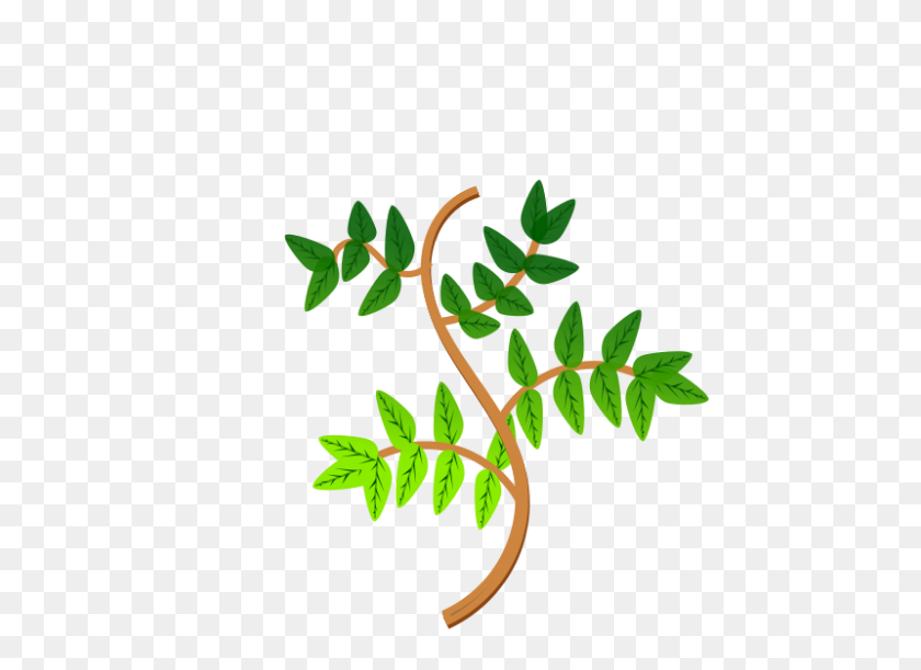 800x566 Free Clipart Leaves And Branches - Leaf Branch Clip Art