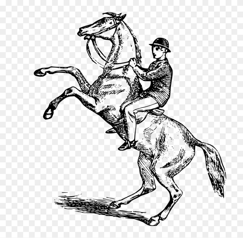 800x781 Free Clipart Man Riding A Rearing Horse - Rearing Horse Clipart