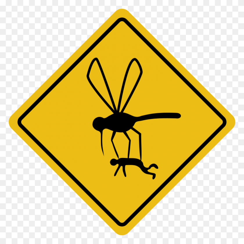 800x800 Бесплатный Клипарт Rones Mosquito Hazard - Mosquito Clipart
