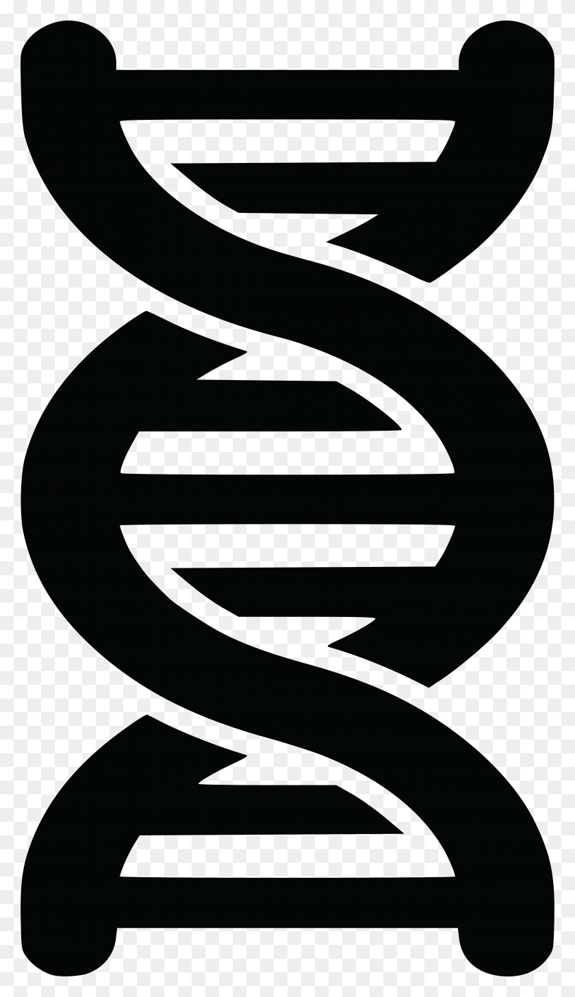 4467x8000 Free Clipart Of A Black And White Dna Strand Double - Dna Helix PNG