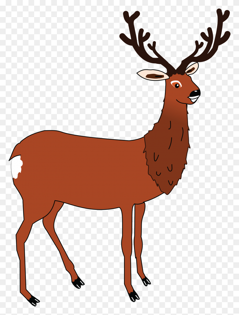 4000x5361 Free Clipart Of A Buck Deer - Buck PNG