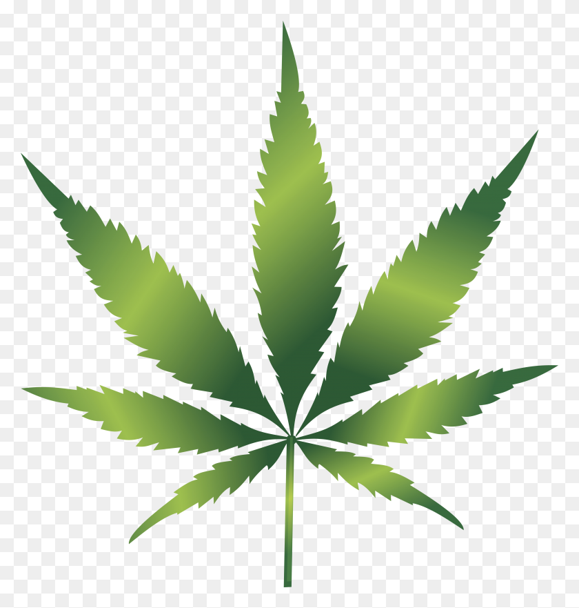 4000x4211 Free Clipart Of A Cannabis Leaf - Pot Leaf Clip Art