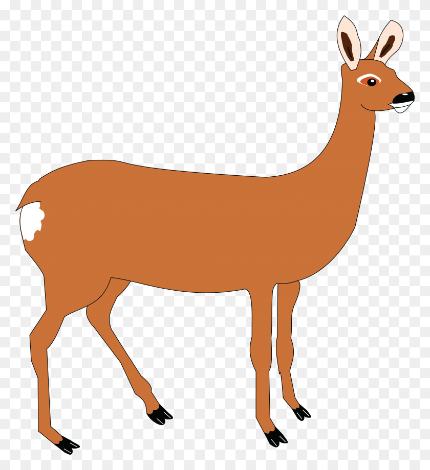 4000x4414 Free Clipart Of A Doe Deer - Doe Clipart
