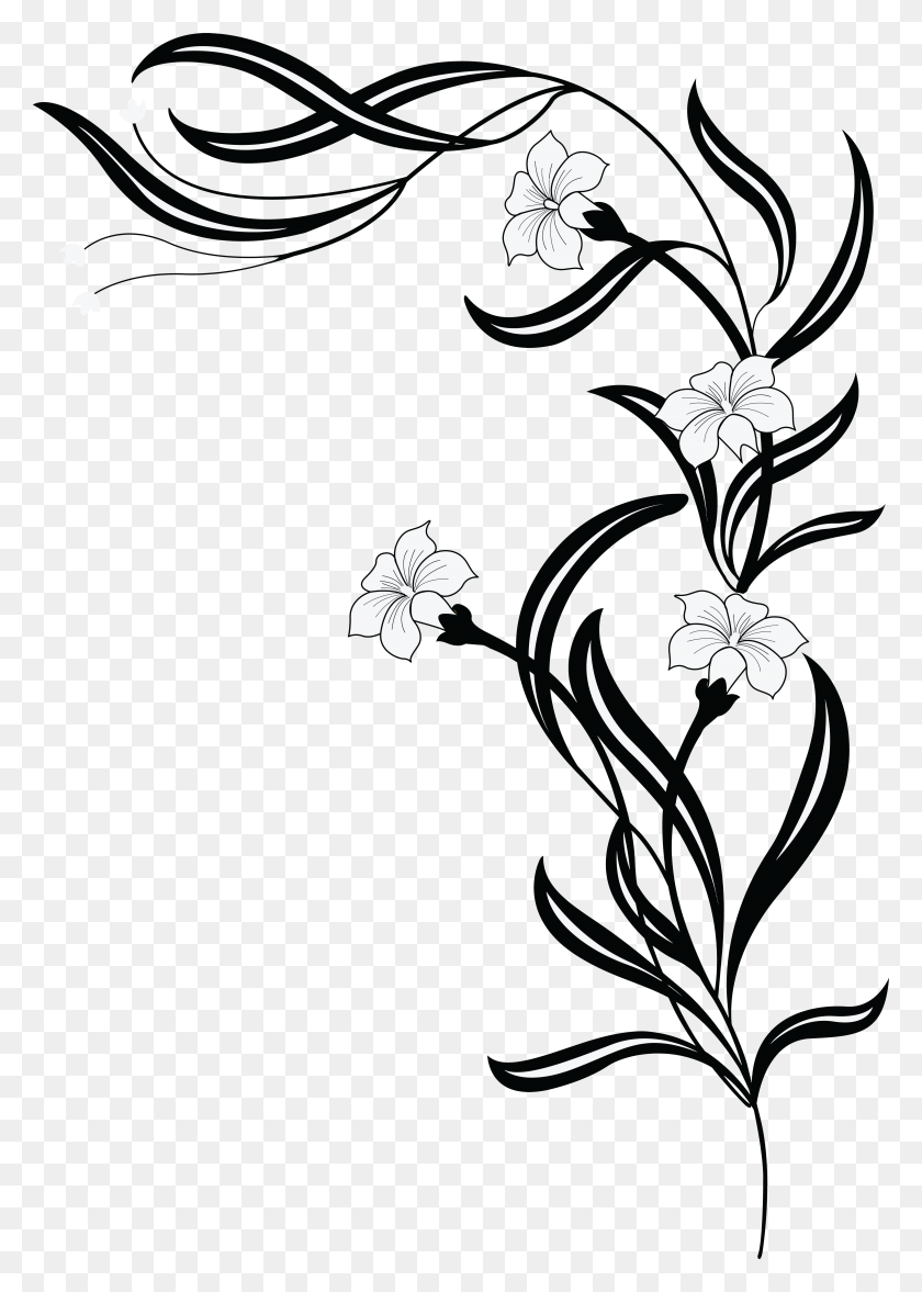 4000x5729 Free Clipart Of A Grayscale Floral Vine - Vines PNG