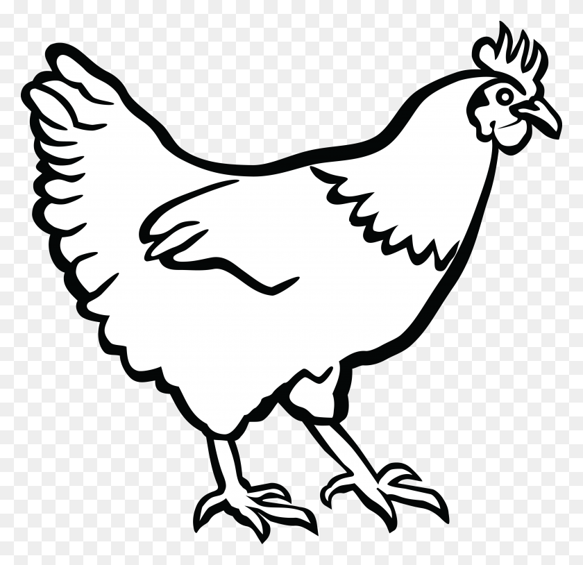 4000x3867 Free Clipart Of A Hen In Black And White - Noahs Ark Clip Art Black And White