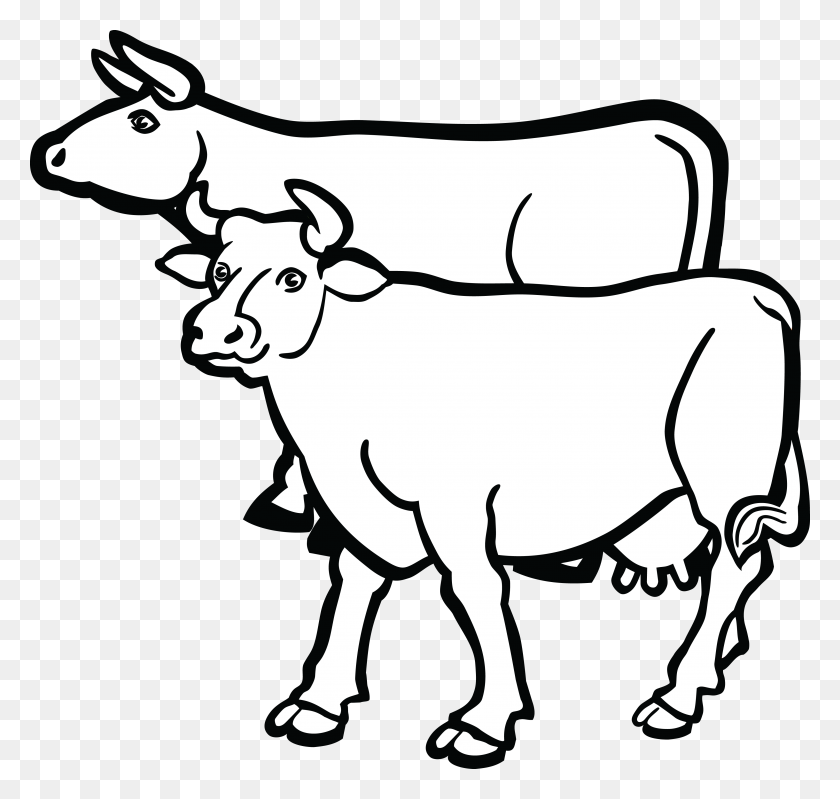 4000x3790 Free Clipart Of A Pair Of Cows - Cows PNG