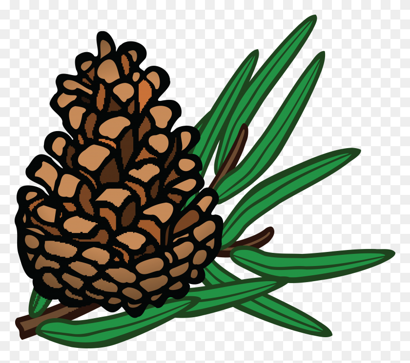 4000x3514 Free Clipart Of A Pinecone - Pine Cone PNG