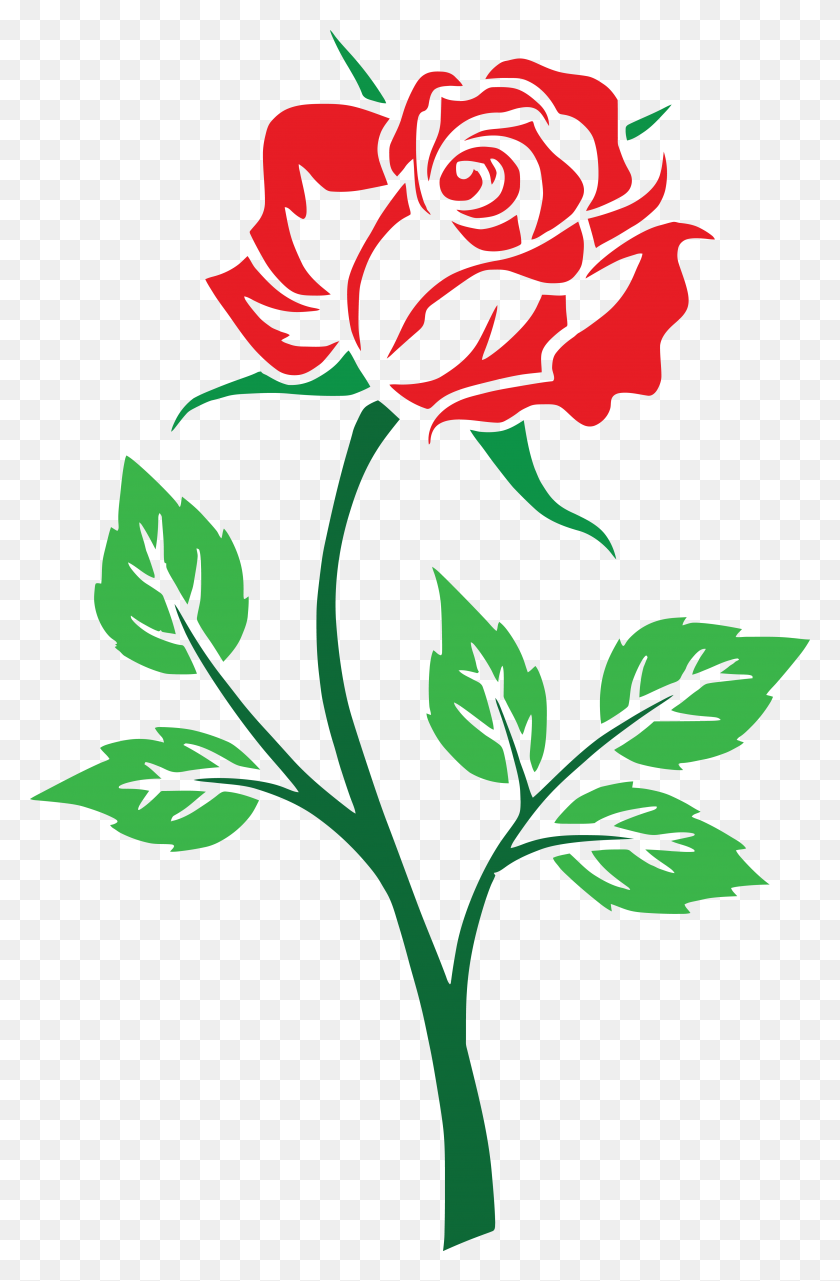 4000x6264 Free Clipart Of A Red Rose - Rose Flower PNG