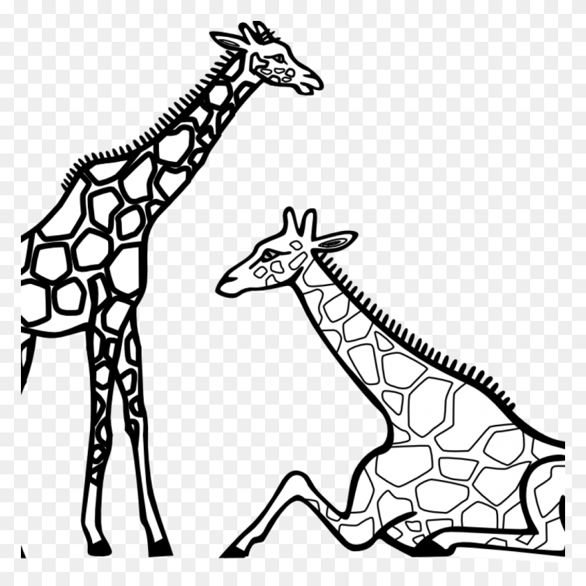 1024x1024 Бесплатный Клипарт Силуэты Матери И Детеныша Жирафа, Черный - Мать, Черно-Белый Клипарт