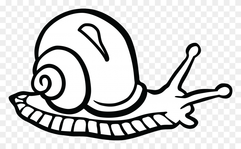 4000x2362 Free Clipart Of A Snail - Snail Clipart Black And White