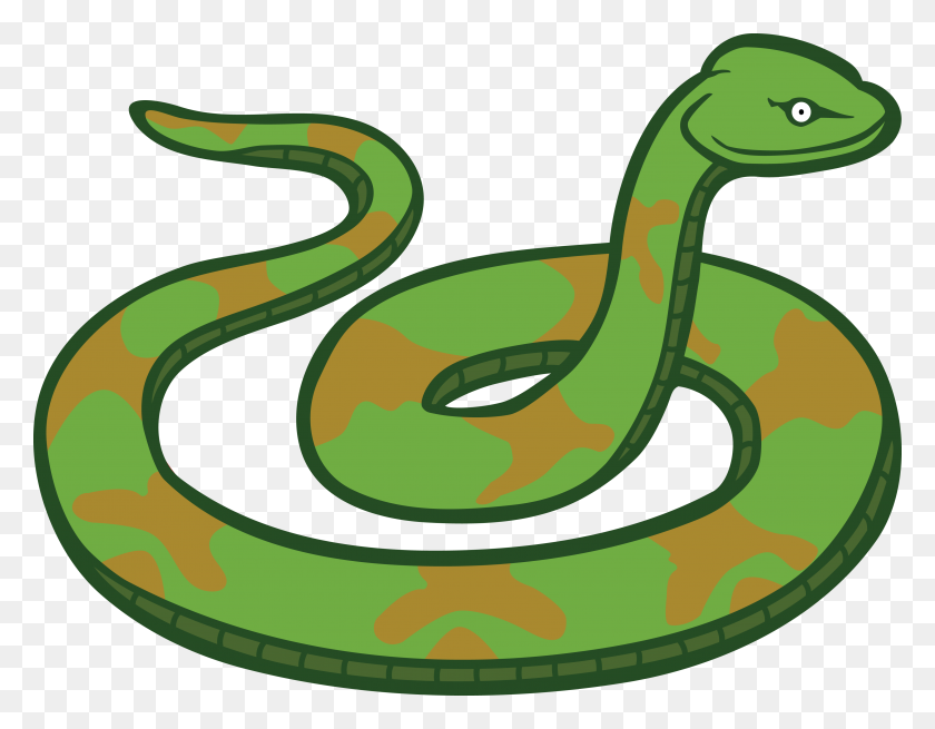 4000x3054 Free Clipart Of A Snake - Snake Clipart
