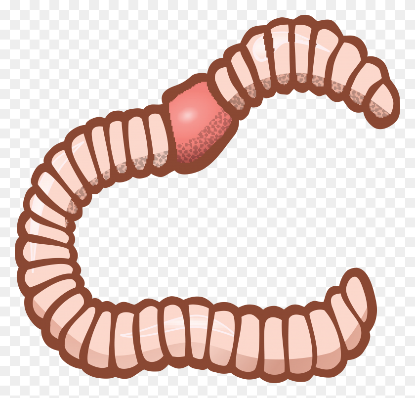 4000x3824 Free Clipart Of An Earthworm - Worm Clipart