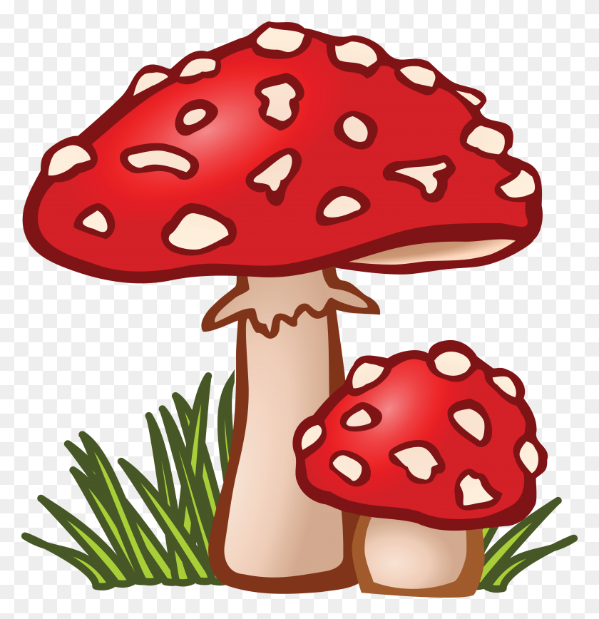 4000x4147 Free Clipart Of Mushrooms - Terrarium Clipart
