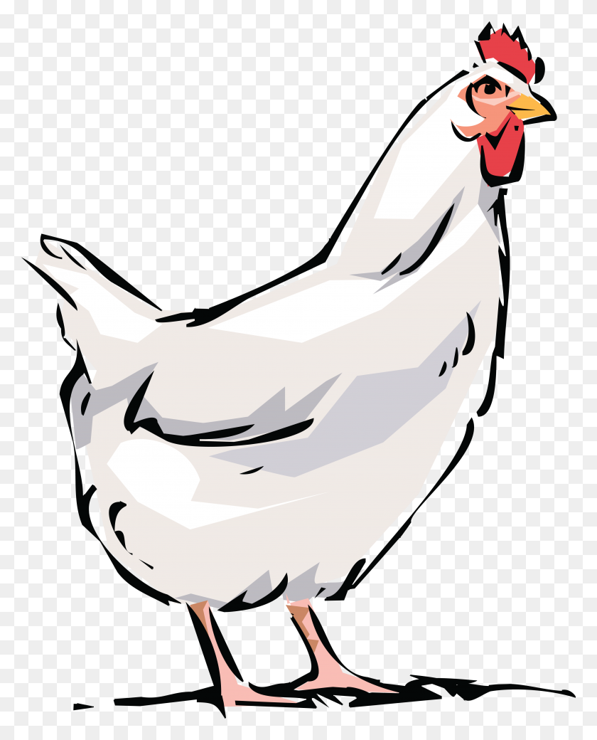 4000x5030 Free Clipart Of White Hen - Chicken Cartoon PNG