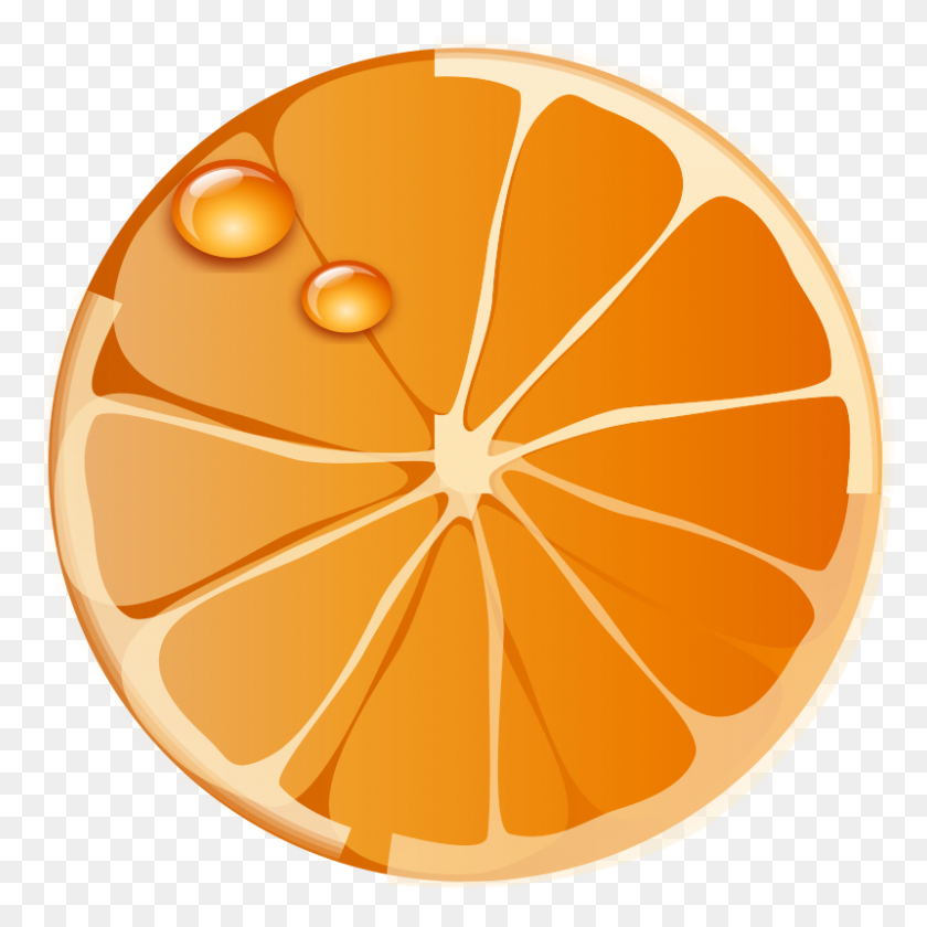 800x800 Free Clipart Orange Ilnanny - Citrus Clipart