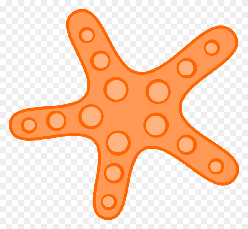 800x736 Free Clipart Orange Starfish Uroesch - Seashell Clipart Free