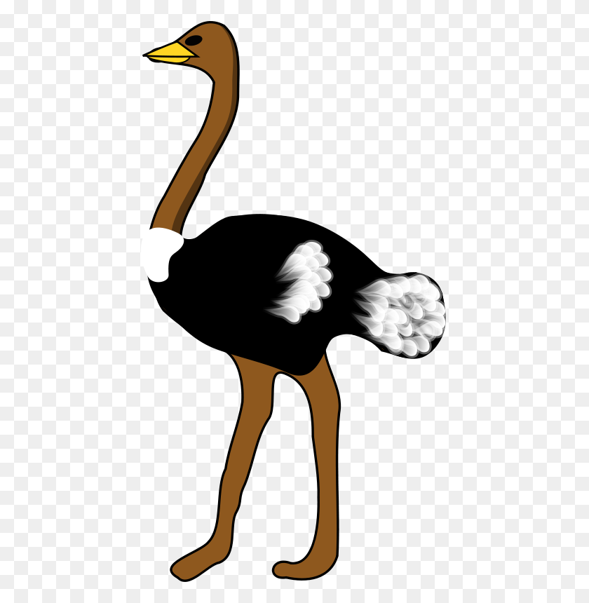 439x800 Free Clipart Ostrich Rpzboray - Ostrich Clipart