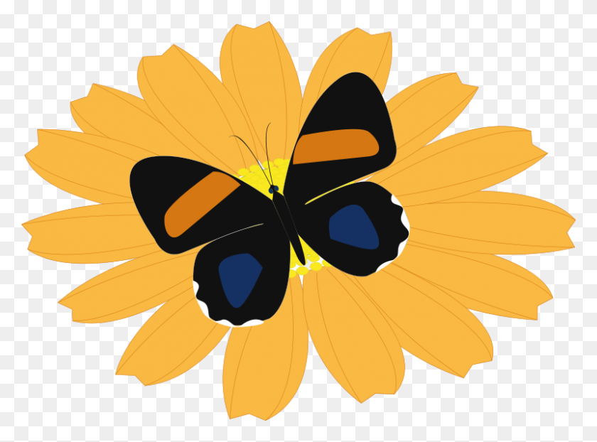 800x577 Free Clipart Papillon Presquesage - Black Eyed Susan Clipart