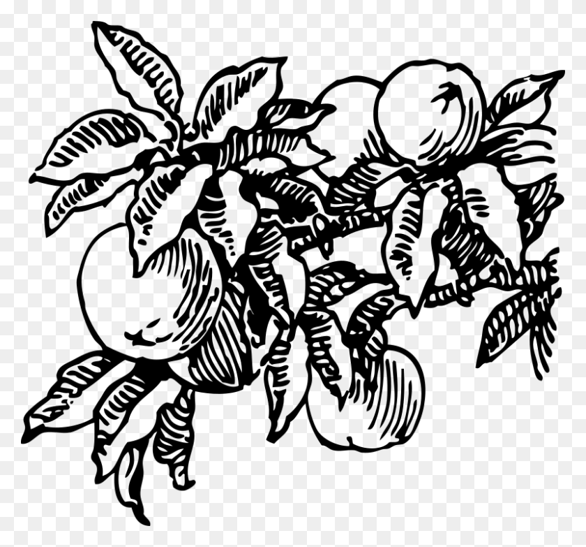 800x742 Free Clipart Peaches Johnny Automatic - Peach Clipart Black And White