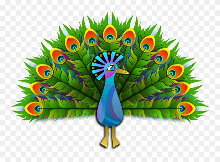 800x575 Free Clipart Peacock Viscious Speed - Peacock Clipart Free
