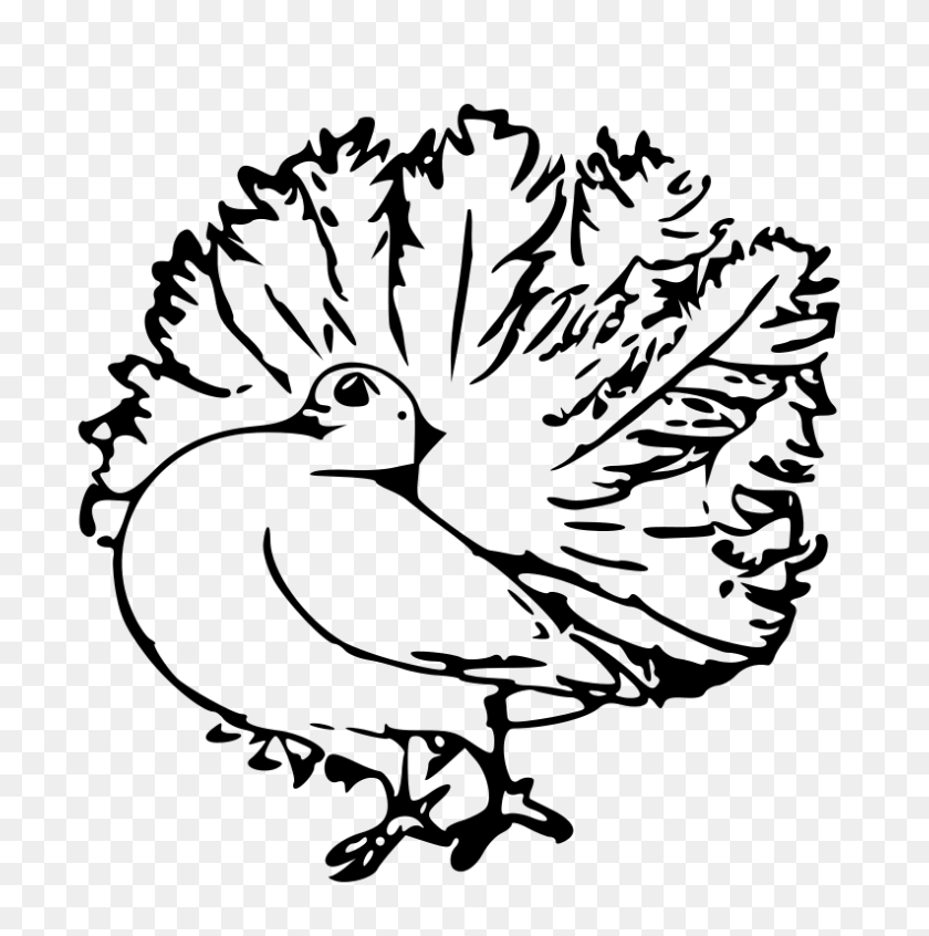 793x800 Free Clipart Pigeon Papapishu - Pigeon Clipart