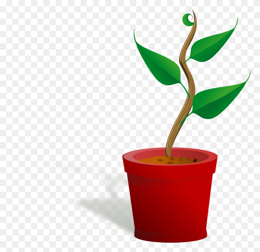 800x774 Free Clipart Plant Growing - Growing Plant Clipart
