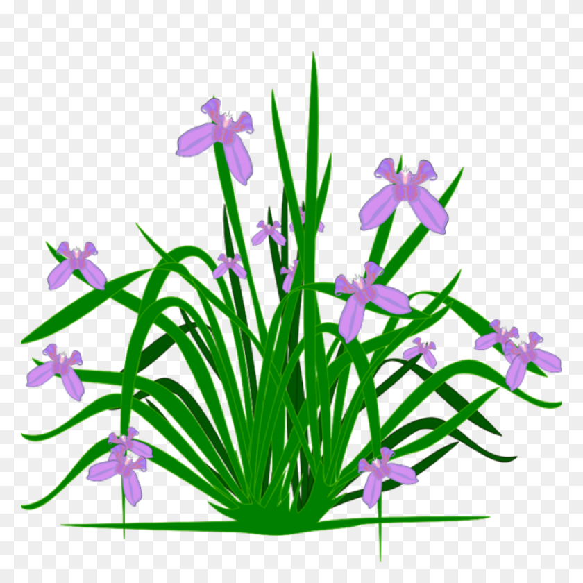 1024x1024 Free Clipart Растения Скачать Бесплатный Клипарт - Free Lavender Clipart
