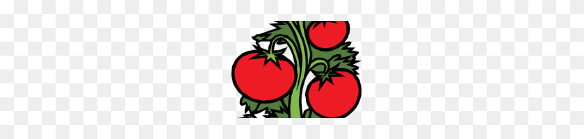 200x140 Free Clipart Plants Tomato Plant Clip Art Free Vector Clipart Best - Tomato Clipart