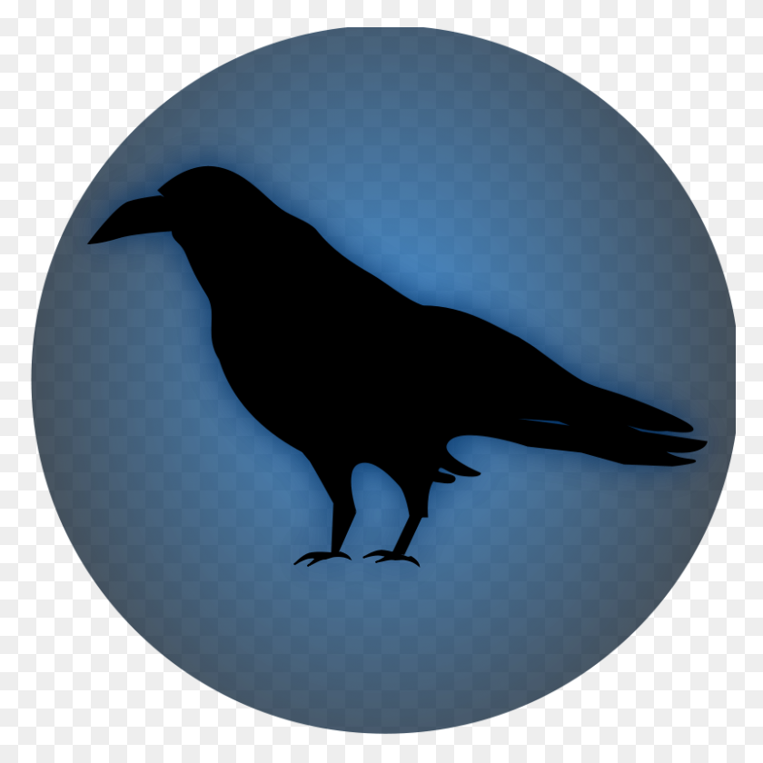 800x800 Free Clipart Raven Icon Netalloy - Free Raven Clipart