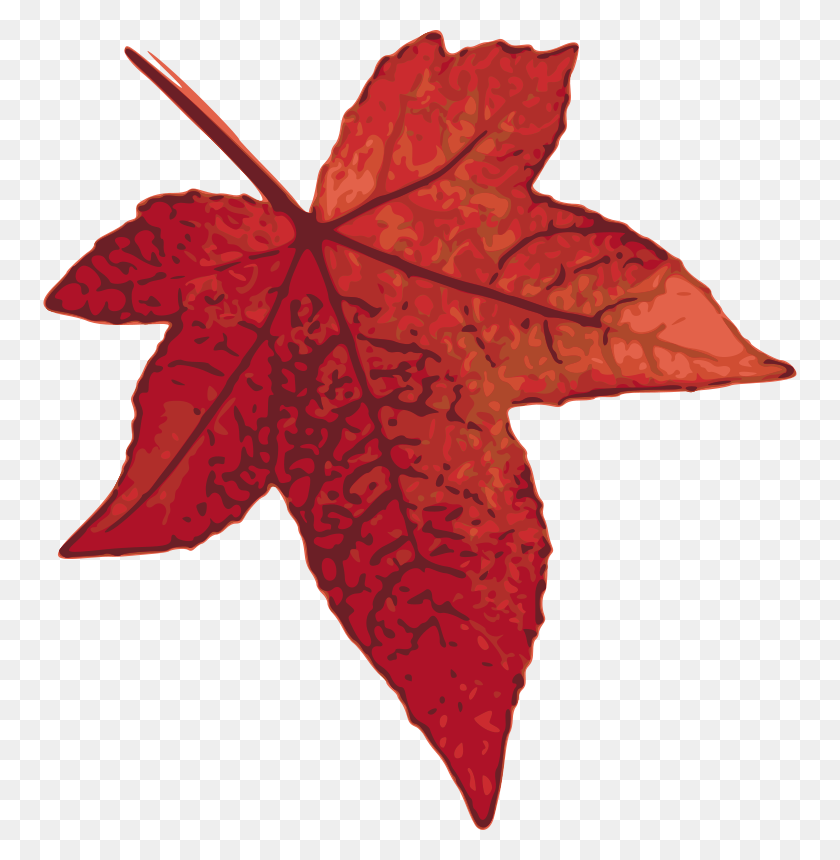 754x800 Free Clipart Red Maple Leaf Tomas Sobek - Red Leaf Clipart